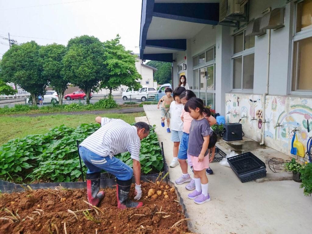 北日野地区自治振興会 ジャガイモ掘り