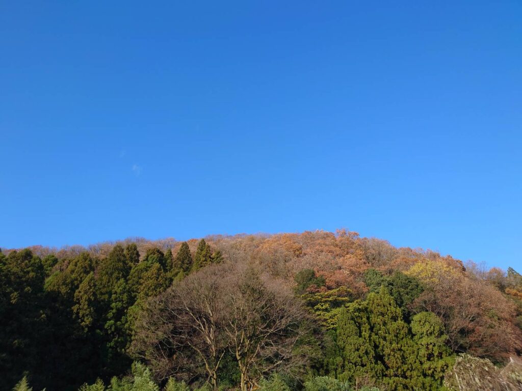 日野地区自治振興会 焼き芋会