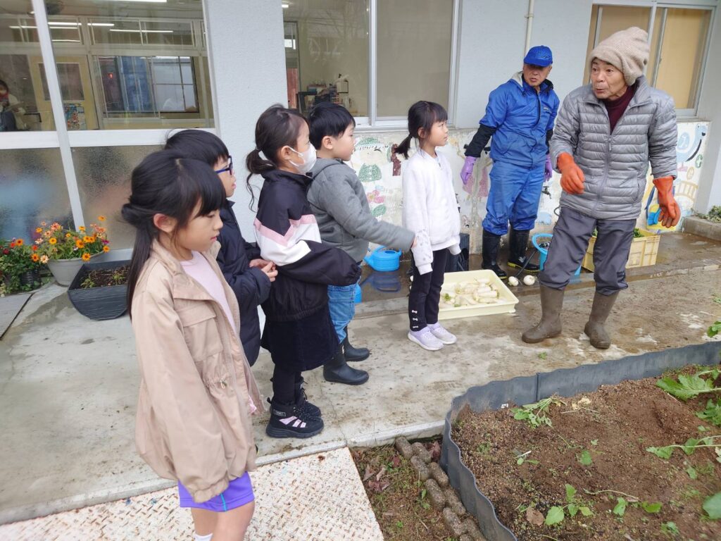 日野地区自治振興会 大根掘り