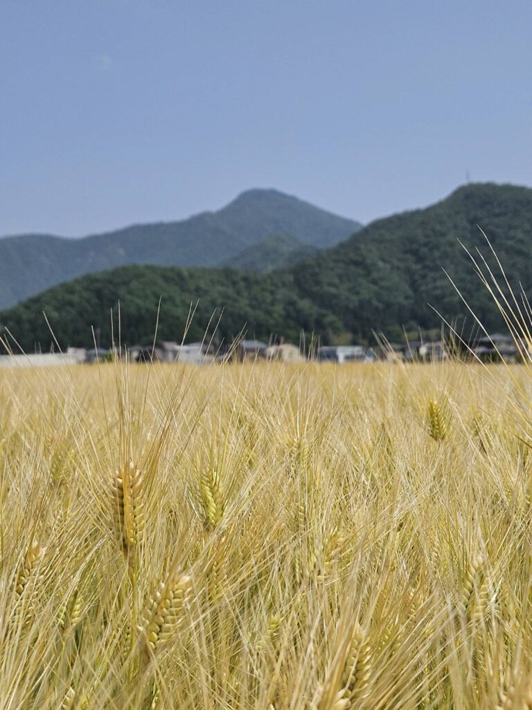 北日野地区自治振興会　きたひのフォト