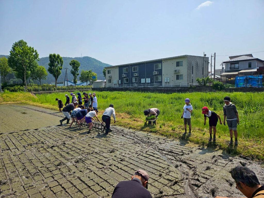 北日野地区自治振興会 北日野小学校 田植え