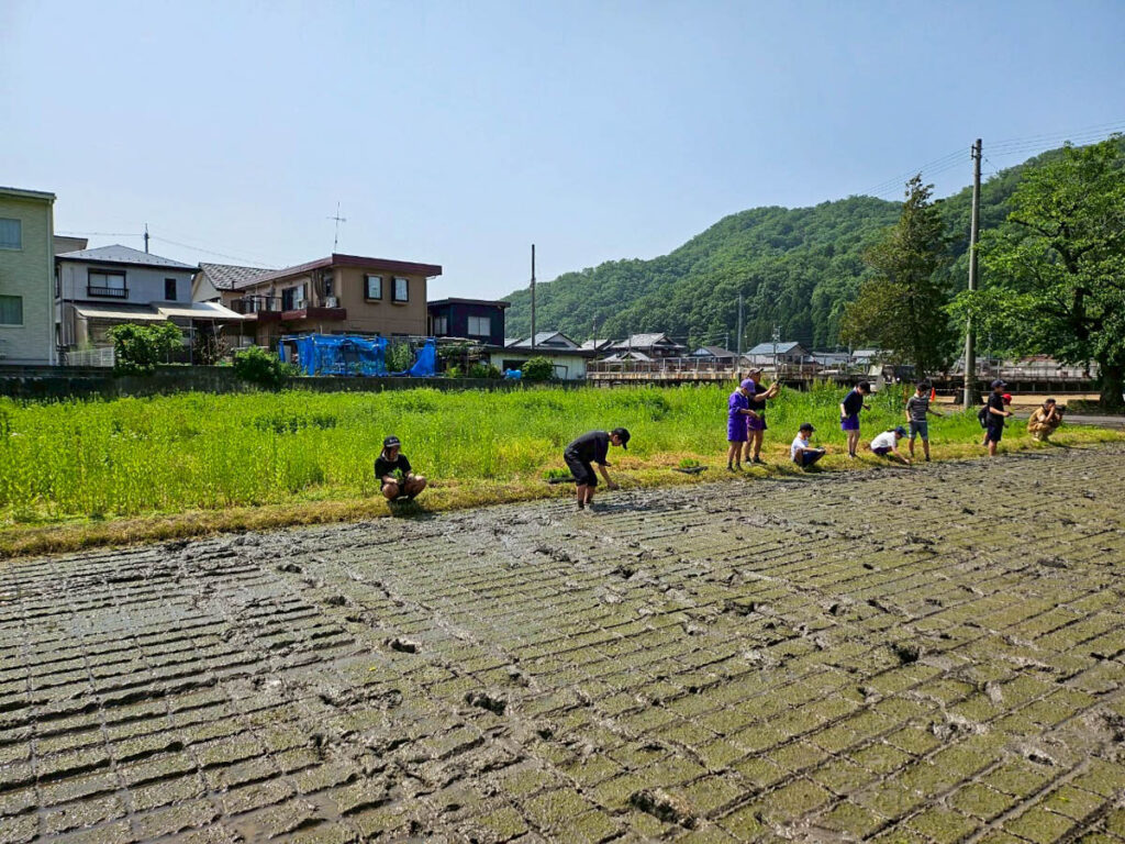 北日野地区自治振興会 北日野小学校 田植え