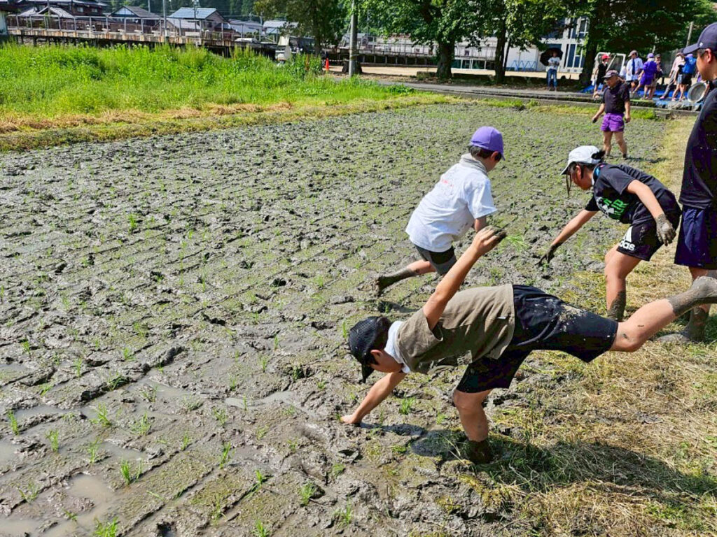 北日野地区自治振興会 北日野小学校 田植え