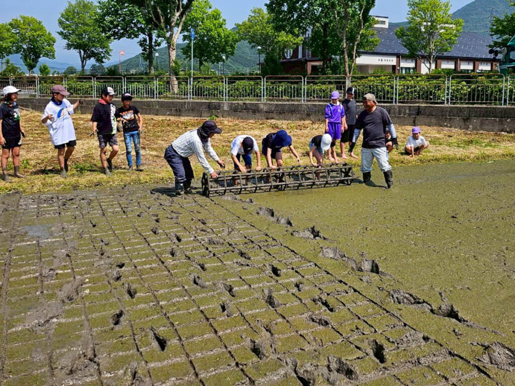北日野地区自治振興会 北日野小学校 田植え