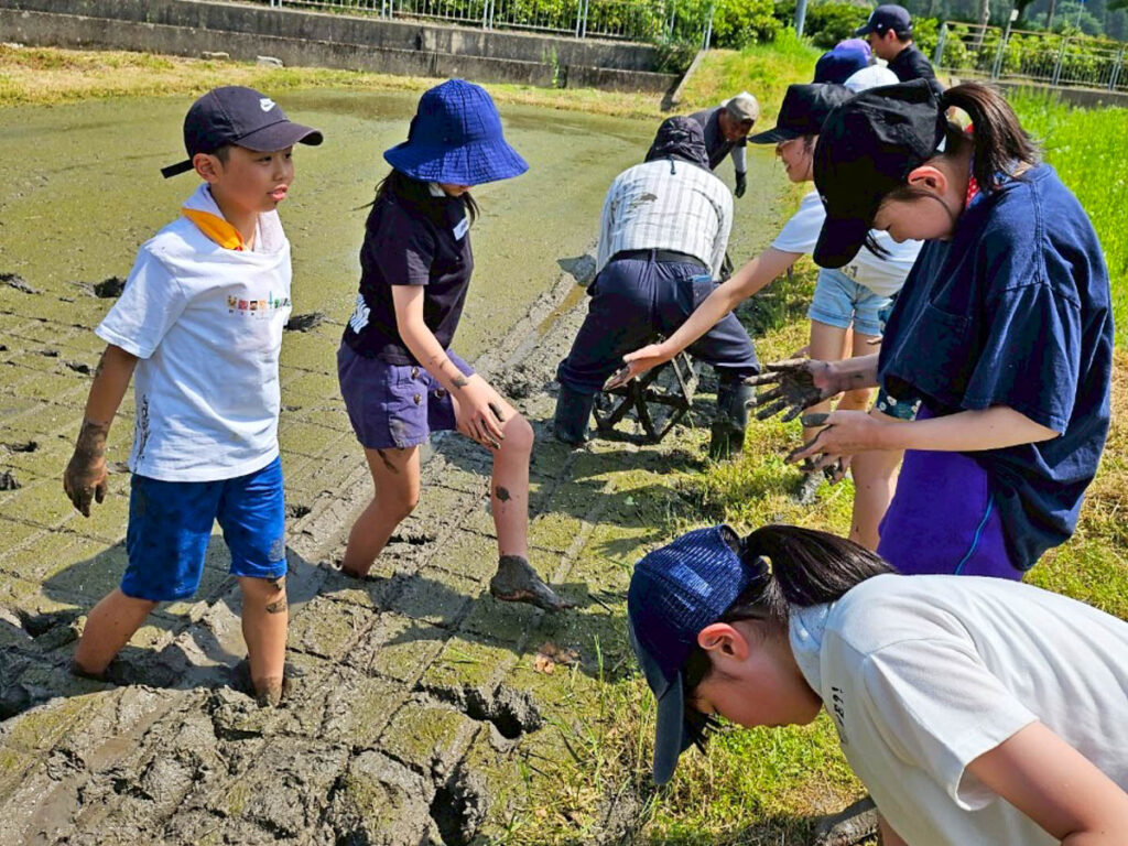 北日野地区自治振興会 北日野小学校 田植え