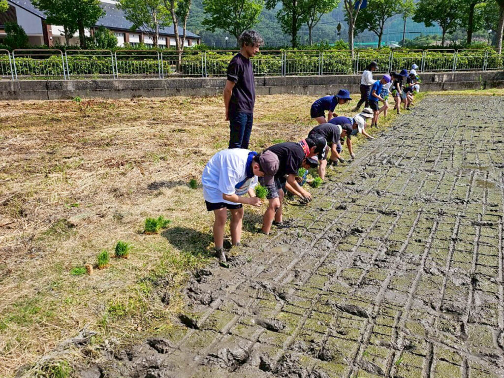 北日野地区自治振興会 北日野小学校 田植え