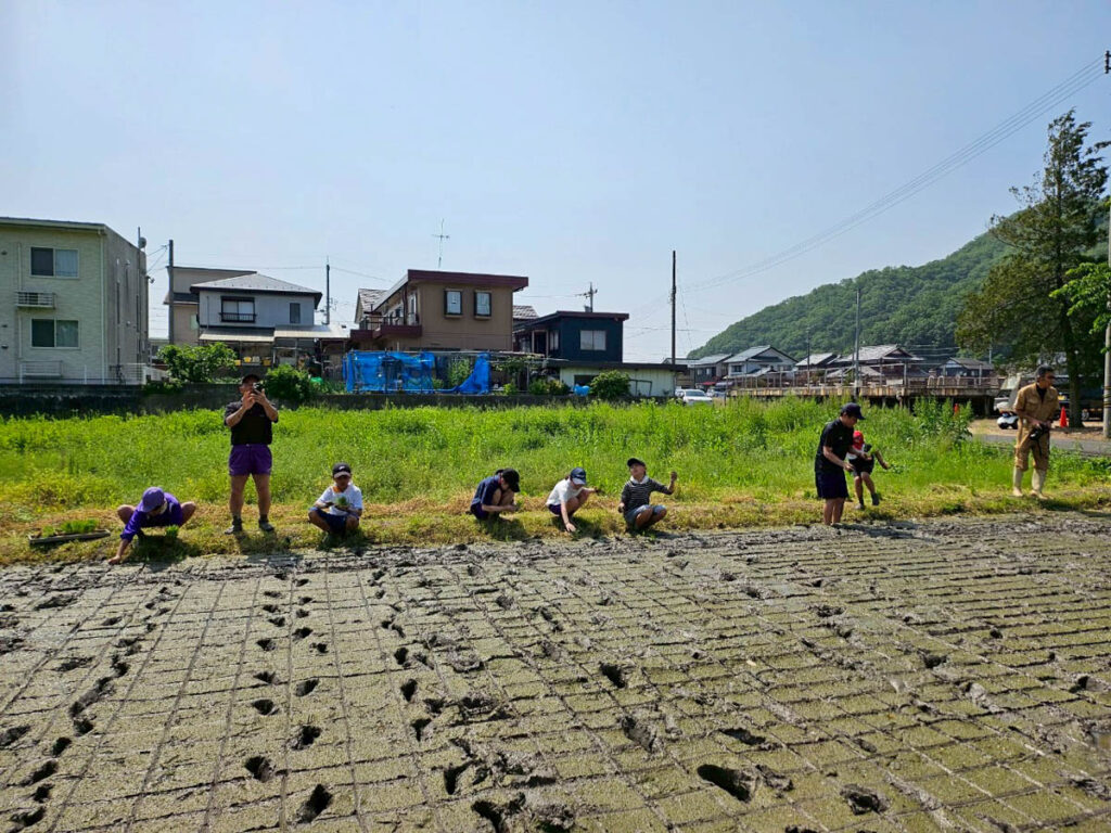 北日野地区自治振興会 北日野小学校 田植え