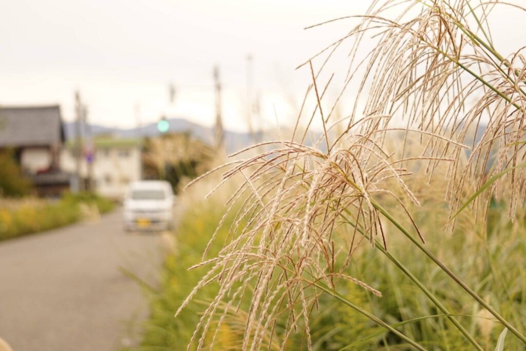 北日野地区自治振興会 きたひのフォト