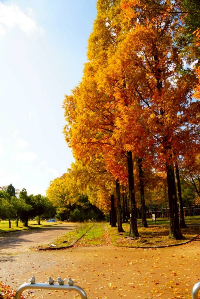 北日野地区自治振興会 きたひのフォト