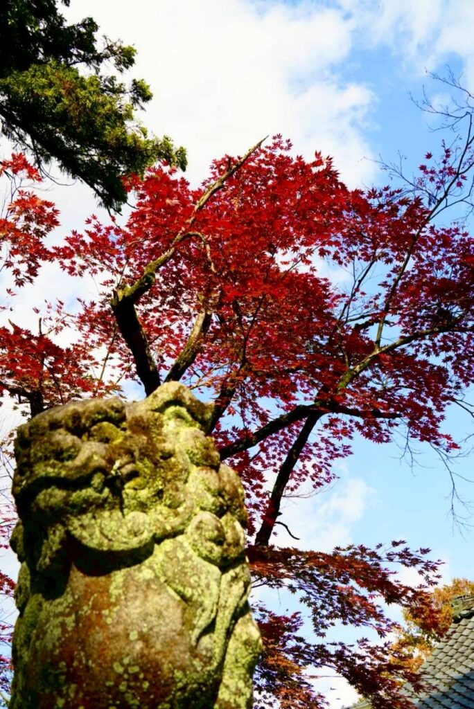 北日野地区自治振興会 きたひのフォト