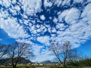 北日野地区自治振興会 きたひのフォト