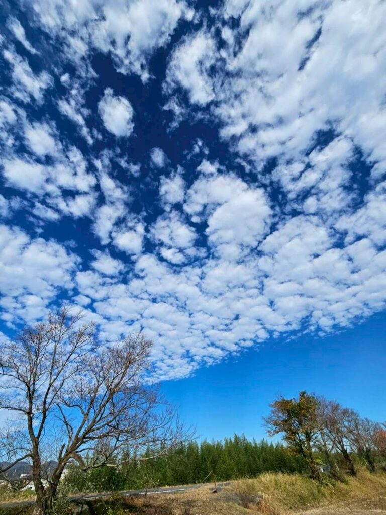 北日野地区自治振興会 きたひのフォト