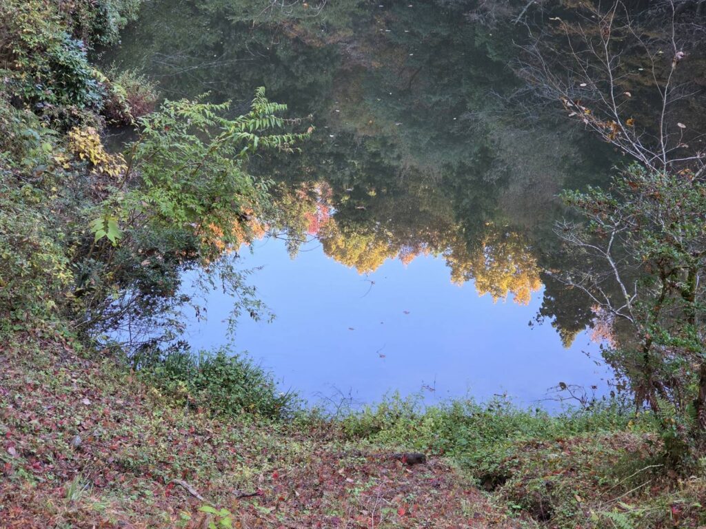 北日野地区自治振興会 きたひのフォト