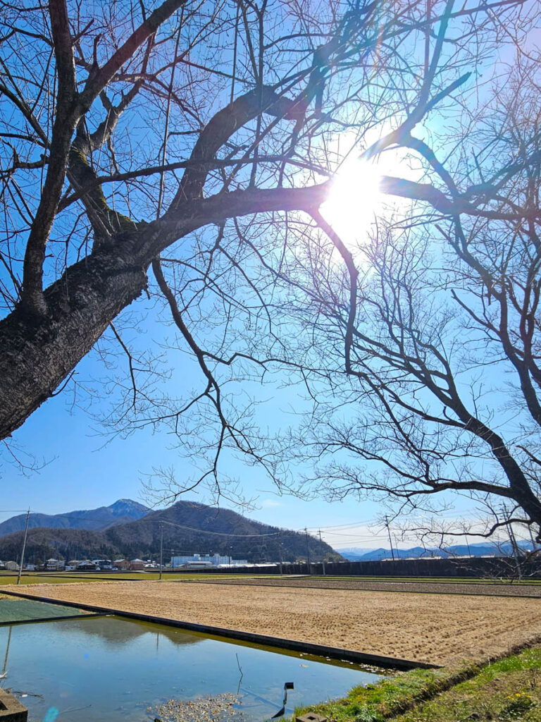 北日野地区自治振興会 雪どけクリーン作戦