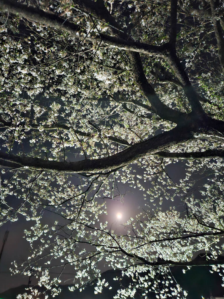 北日野地区自治振興会 きたひのフォト