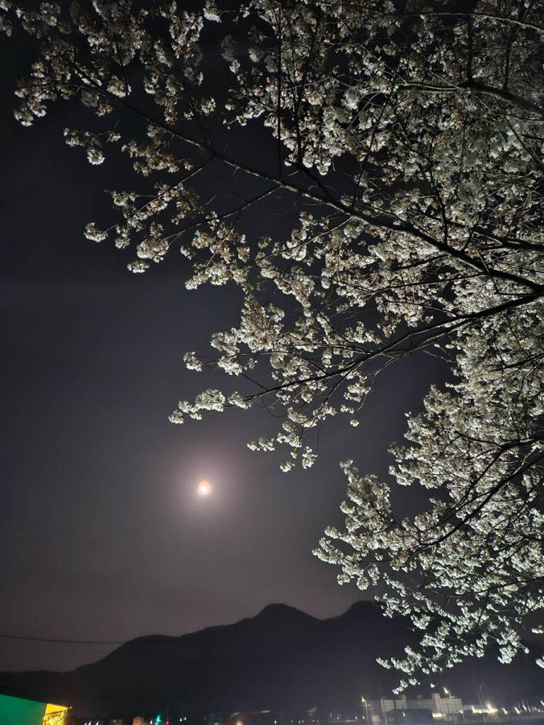 北日野地区自治振興会 きたひのフォト