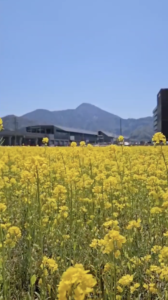 北日野地区自治振興会 きたひのフォト