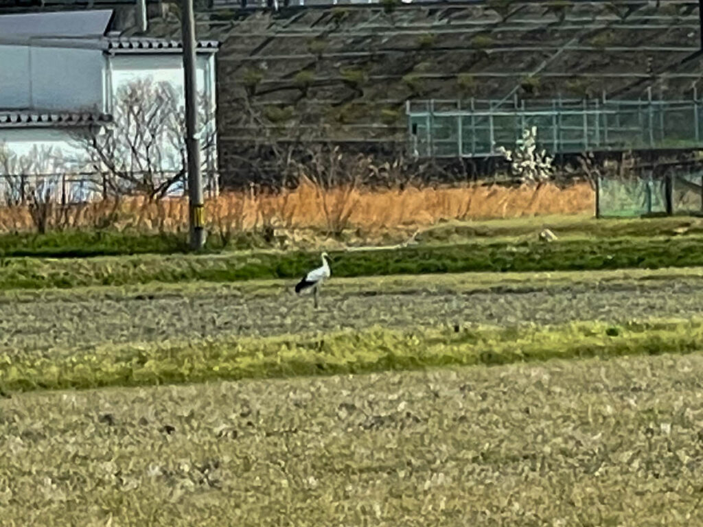 北日野地区自治振興会 きたひのフォト