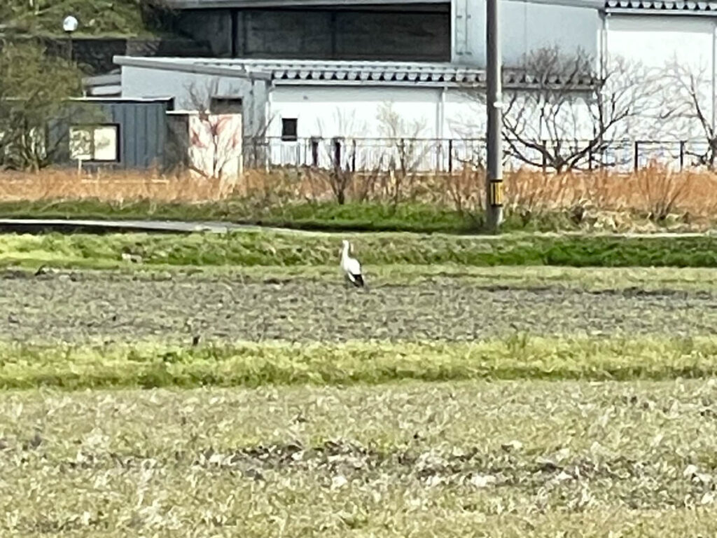 北日野地区自治振興会 きたひのフォト