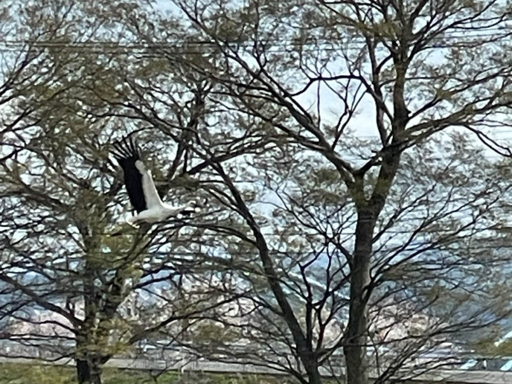 北日野地区自治振興会 きたひのフォト