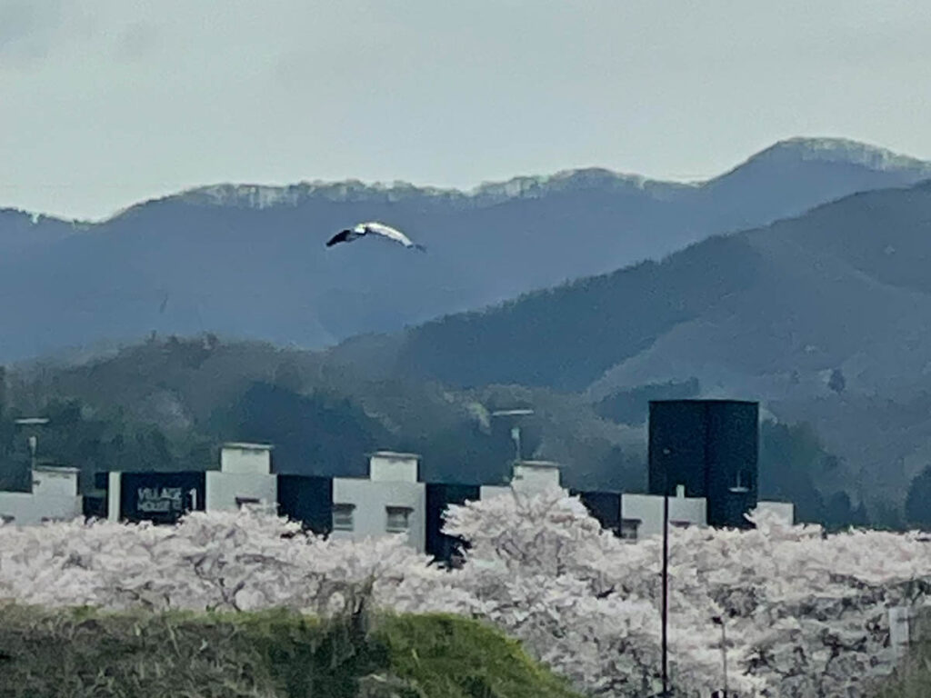 北日野地区自治振興会 きたひのフォト