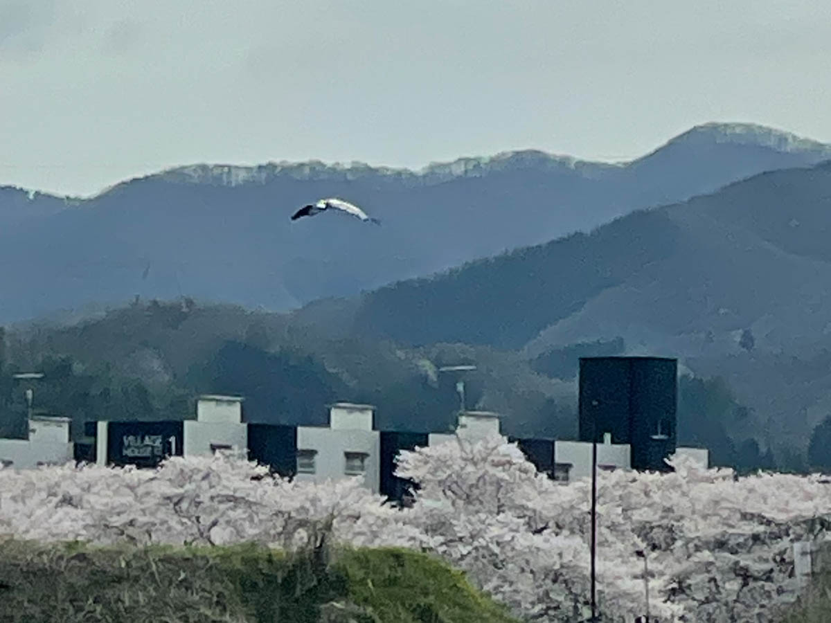 北日野地区自治振興会 きたひのフォト