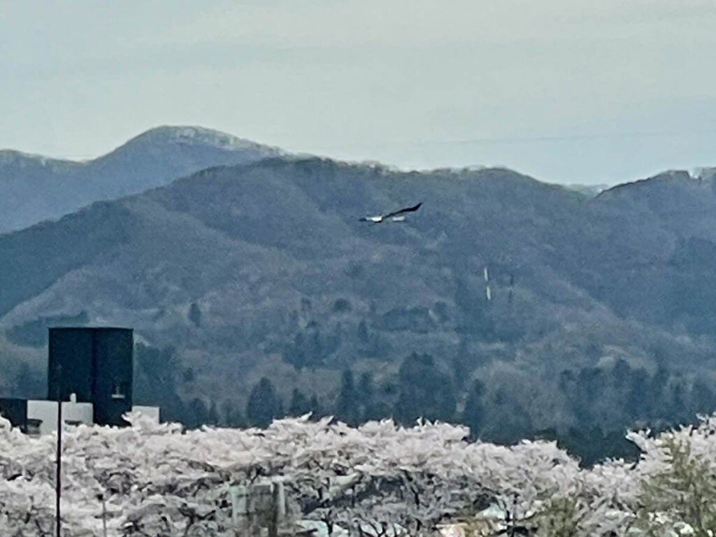 北日野地区自治振興会 きたひのフォト