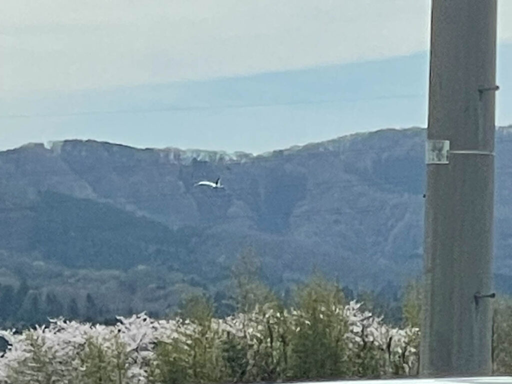 北日野地区自治振興会 きたひのフォト