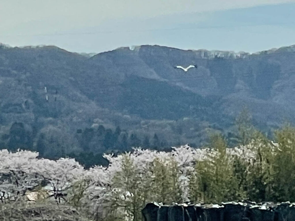 北日野地区自治振興会 きたひのフォト