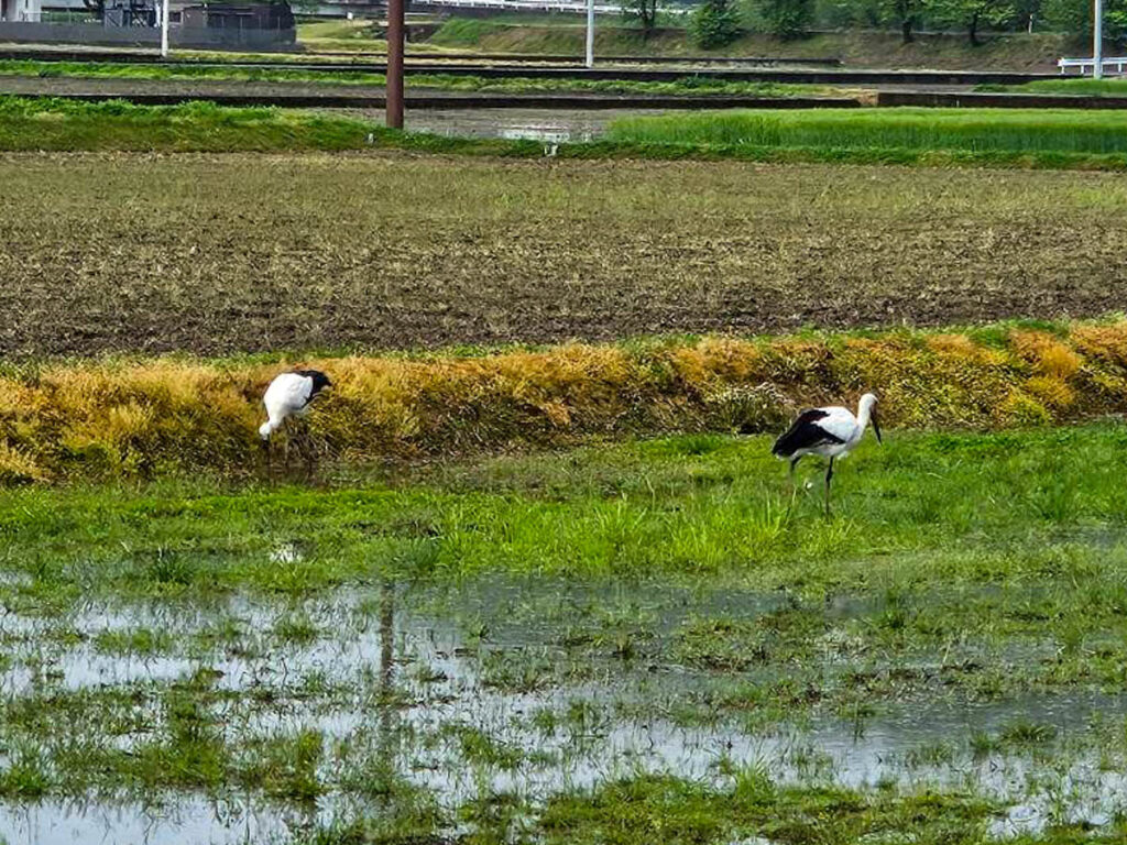 北日野地区自治振興会 きたひのフォト