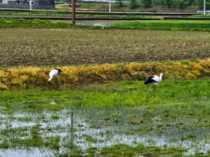 北日野地区自治振興会 きたひのフォト