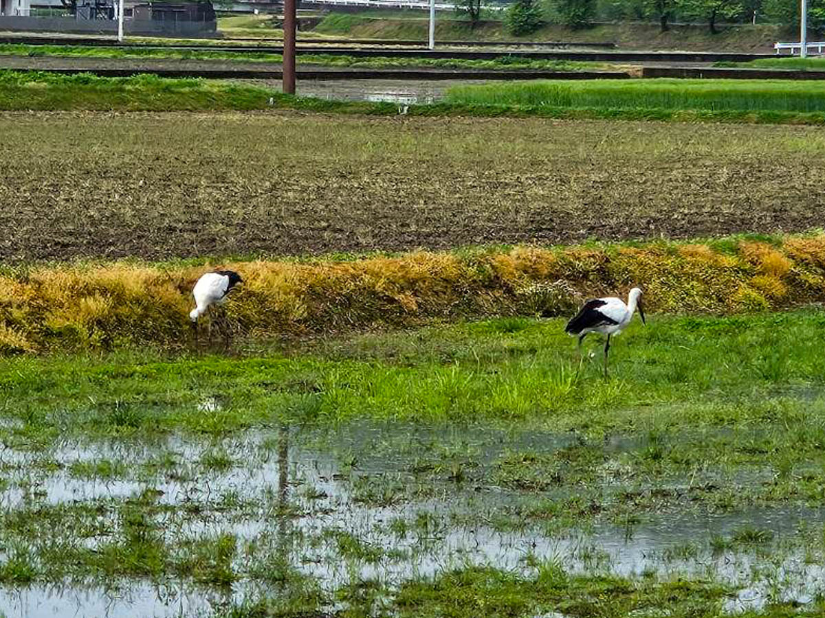 北日野地区自治振興会 きたひのフォト