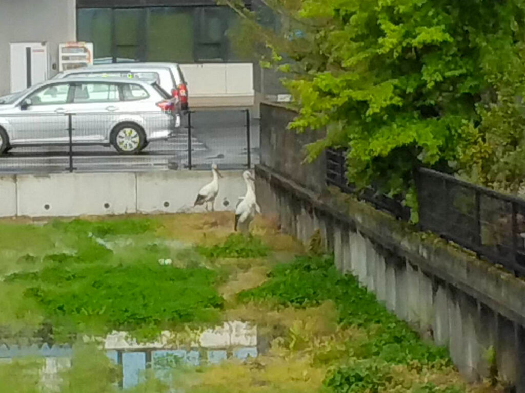 北日野地区自治振興会 きたひのフォト
