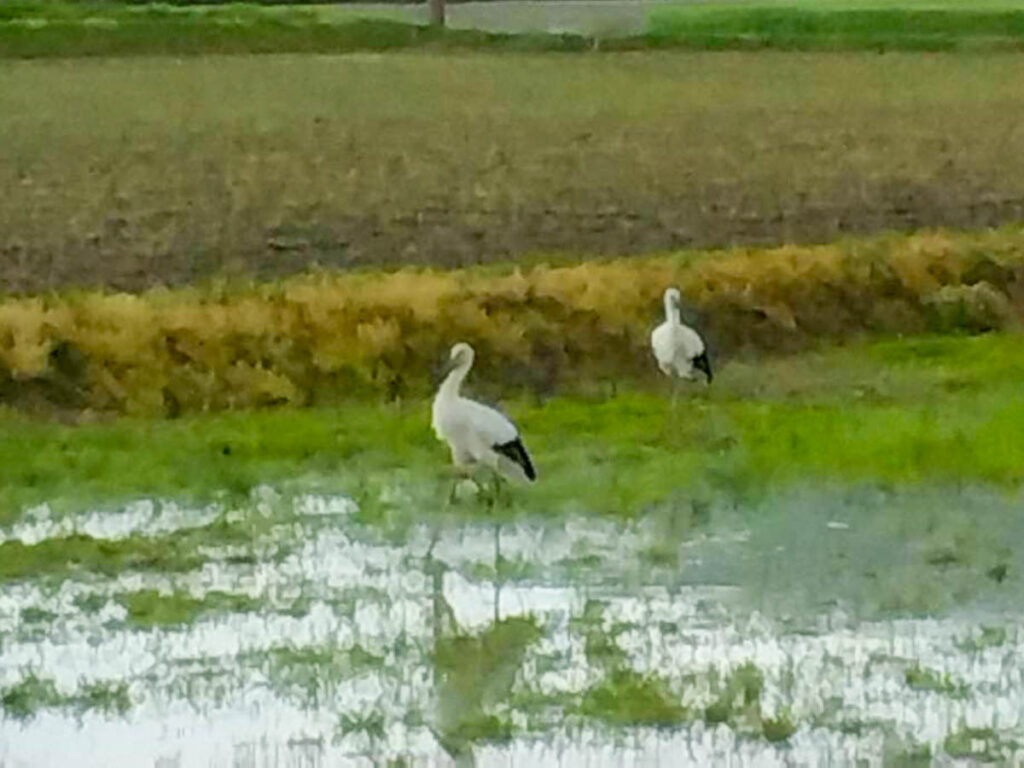 北日野地区自治振興会 きたひのフォト