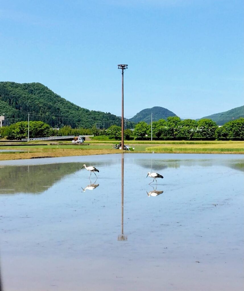 北日野地区自治振興会 きたひのフォト