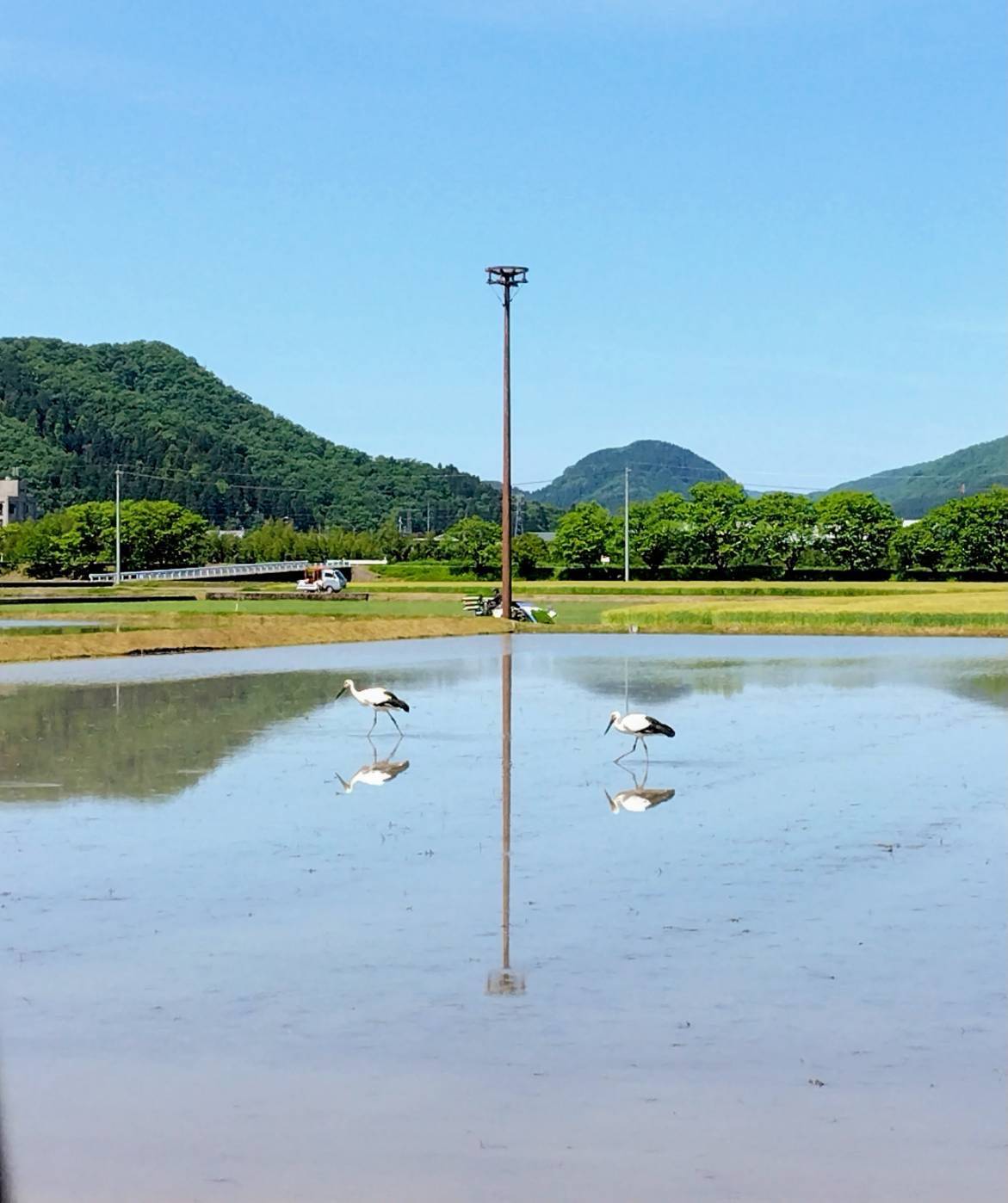 北日野地区自治振興会 きたひのフォト