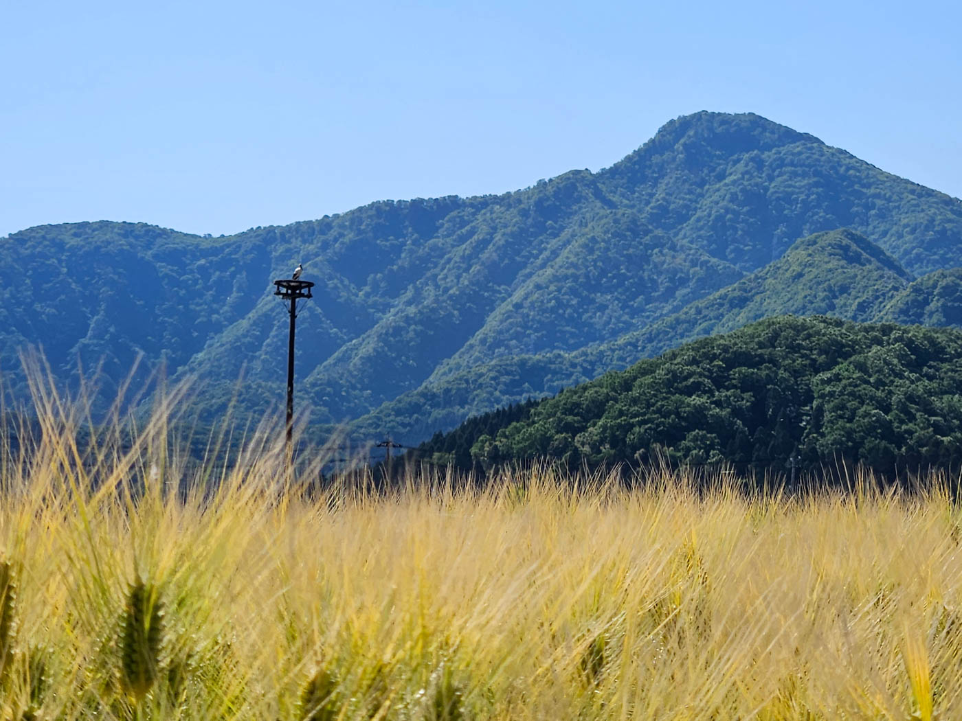北日野地区自治振興会 きたひのフォト