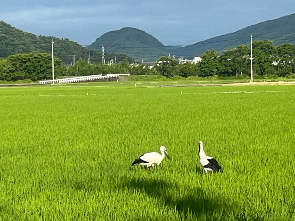 北日野地区自治振興会 きたひのフォト
