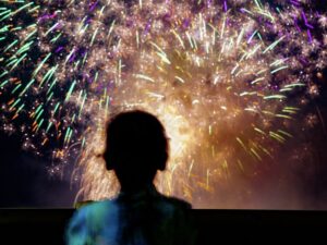 北日野自治振興会 花火を見上げる子どものシルエット