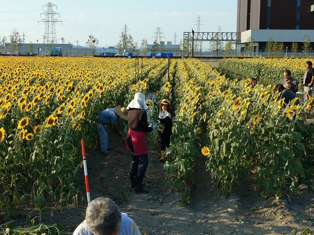 北日野自治振興会 フォトスポットまでの道を整備する地域の皆さん