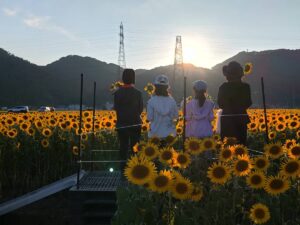 北日野自治振興会 夕日のひまわり畑にあるフォトスポット