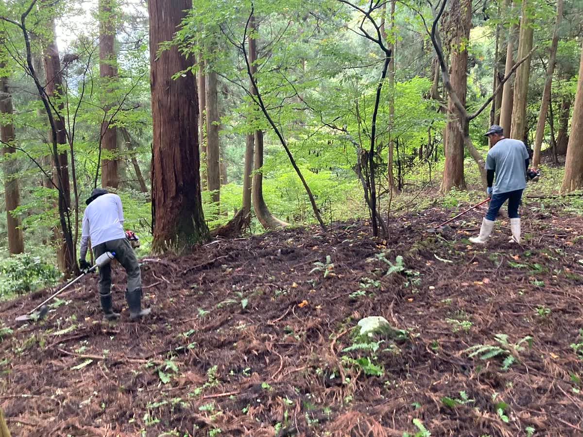 北日野自治振興会 村国山・日野山荒谷滝の整備で林内を整備する参加者