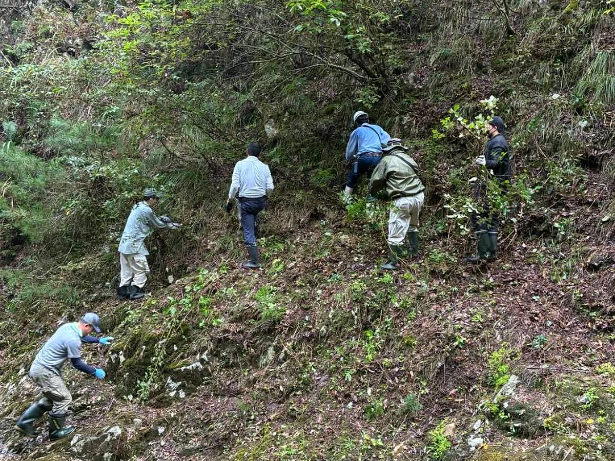 北日野自治振興会 村国山・日野山荒谷滝の整備で斜面を整備する参加者