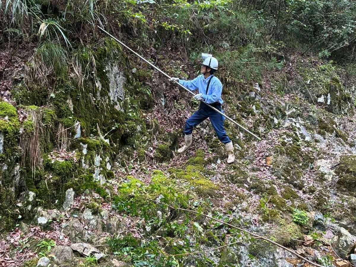 北日野自治振興会 村国山・日野山荒谷滝の整備で斜面の草木を刈る参加者